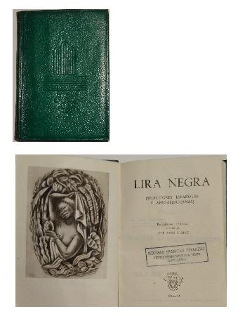 Lira Negra