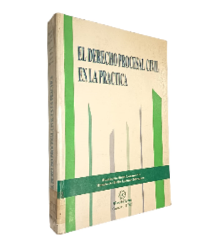 El Derecho Procesal Civil en la PrÃ¡ctica