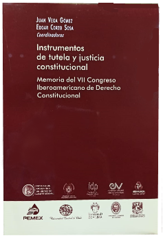 Instrumentos de Tutela y Justicia Constitucional 