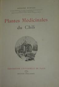 Plantes MÃ©dicinales du Chili