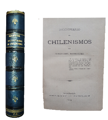 Diccionario de Chilenismos