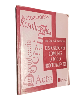 Disposiciones Comunes a todo Procedimiento