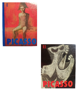 Pablo Picasso 1881-1973 (2 tomos)