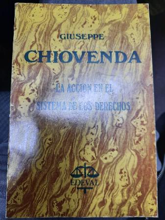 La AcciÃ³n en el Sistema de los Derechos