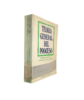 TeorÃ­a General del Proceso