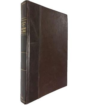 OrÃ­genes de Chile: Elementos Ãtnicos, Apellidos, Familias 