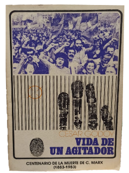 Vida de un Agitador