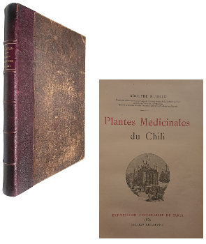 Plantes MÃ©dicinales du Chili 