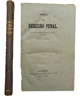 TeorÃ­a del Derecho Penal