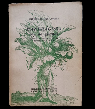 MandrÃ¡gora Rey de Gitanos