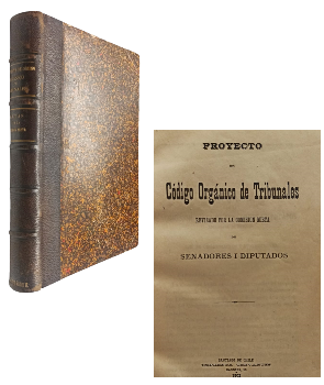 Proyecto de CÃ³digo OrgÃ¡nico de Tribunales y Actas de las Sesiones de la ComisiÃ³n Mista  (Dos tÃ­tulos en mismo volumen)