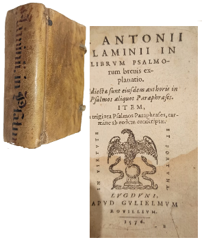 Librum Psalmorum Breuis Explanatio 